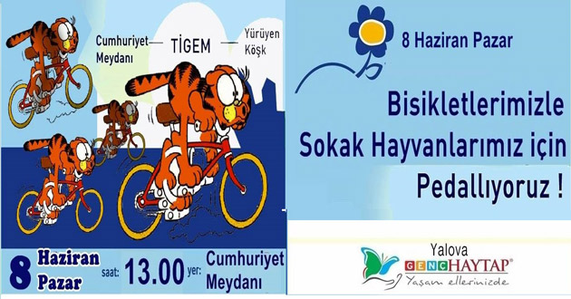 SOKAK HAYVANLARIMIZ İÇİN PEDALLIYORLAR