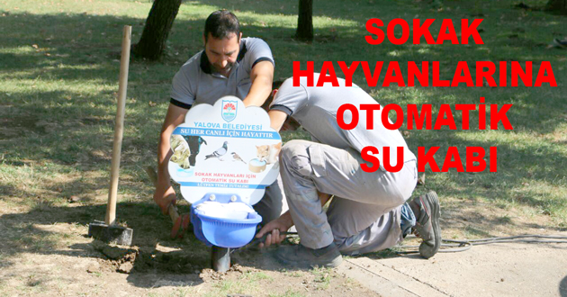 SOKAK HAYVANLARINA OTOMATİK SU KABI