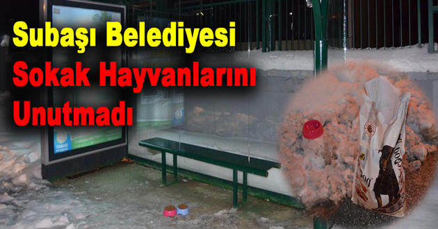 Subaşı Belediye Sokak Hayvanlarını Unutmadı