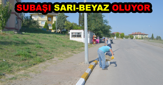 SUBAŞI SARI-BEYAZ OLUYOR