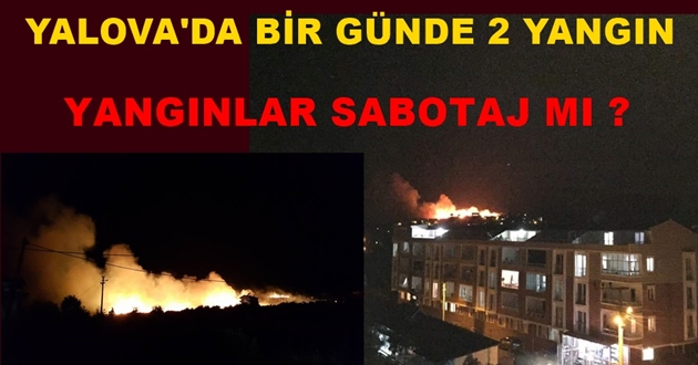 ŞÜPHELİ ORMAN YANGINLARI YALOVA'NIN CİĞERLERİNİ YAKTI