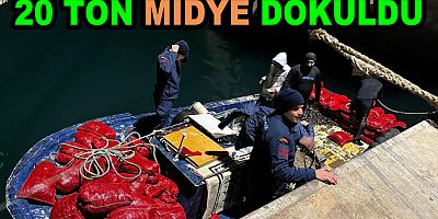 20 TON KAÇAK MİDYE DENİZE DÖKÜLDÜ