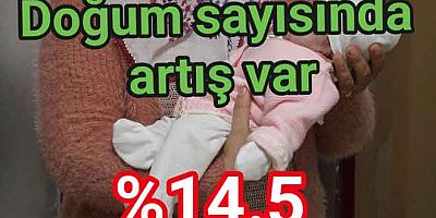 4 AYDA YALOVA’DA DOĞUM ARTTI
