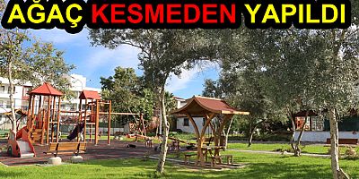AĞAÇLARA ZARAR VERMEDEN PARK YAPTILAR