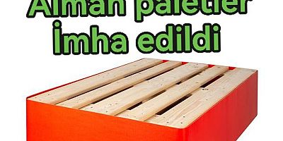 ALMAN PALETLER YALOVA’DA İMHA EDİLDİ