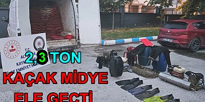 ALTINOVA’DA KAÇAK MİDYE OPERASYONU