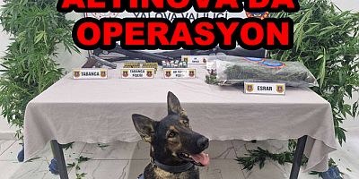 ALTINOVA’DA UYUŞTURUCU OPERASYONUNDA 2 KİŞİ GÖZALTINA ALINDI