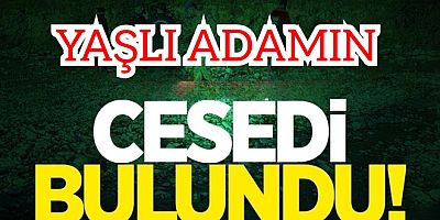 ALTINOVA’DA YAŞLI ADAMIN CESEDİ BULUNDU