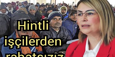 ALTINOVA HALKI HİNTLİ İŞÇİDEN RAHATSIZ
