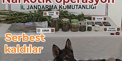 ALTINOVA KARADERE’DE JANDARMADAN UYUŞTURUCU OPERASYONU