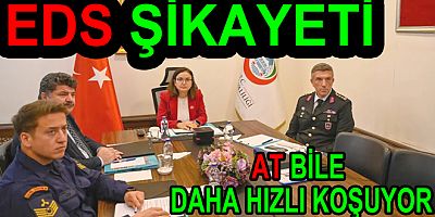 #yalova #vali #eds #altınova #trafik #kaza #itfaiye #jandarma #polis