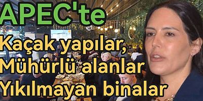 APEC ÇELİK KAÇAK YAPILAR HAKKINDA AÇIKLAMA YAPMADI