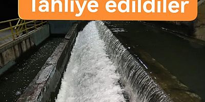 ARITMADA OLAYINDA TUTUKLANAN 2 KİŞİ TAHLİYE EDİLDİ