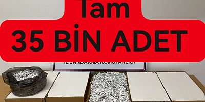ARMUTLU'DA 35 BİN KAÇAK SİGARA ELE GEÇİRİLDİ