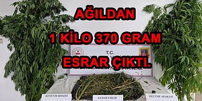 ARMUTLU’DA JANDARMA’DAN ZEHİR TACİRİNE DARBE