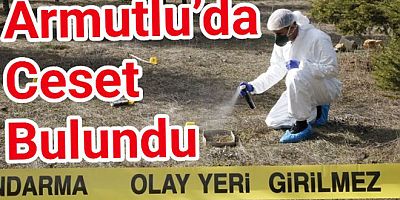 ARMUTLU’DA KİMLİKSİZ ERKEK CESEDİ BULUNDU
