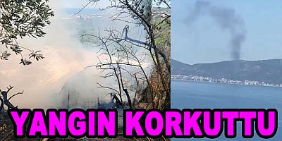 ARMUTLU'DA ORMAN YANGINI KORKUTTU
