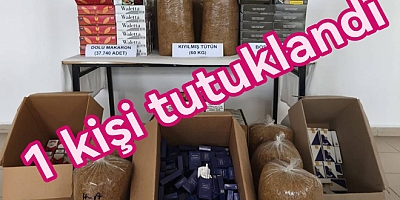 ARMUTLU'DA TÜTÜN OPERASYONUNDA 1 KİŞİ TUTUKLANDI