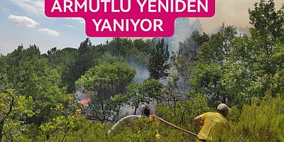 #yalova #kaza #itfaiye #yangın #jandarma #armutlu Yalova Valiliği