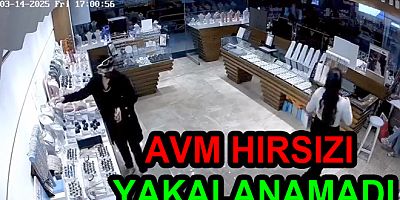 AVM HIRSIZI YALOVA'DA YAKALANAMADI
