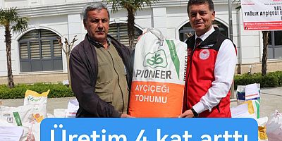 AYÇİÇEK ÜRETİMİ YALOVA'DA 4 KAT ARTTI