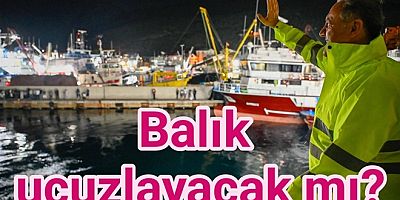 BALIKÇILAR DENİZE AÇILDI YALOVA’DA AV SEZONU COŞKUSU