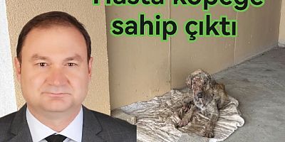 BARBAROS BİNİCİOĞLU HASTA KÖPEĞE SAHİP ÇIKTI