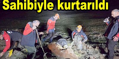BATAKLIĞA SAPLANAN İNEK VE SAHİBİ KURTARILDI