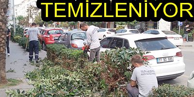 BİTKİ VE ÇALI GRUPLARI TEMİZLENİYOR