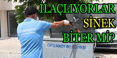 BÖCEK ÜREME NOKTALARI İLAÇLANIYOR
