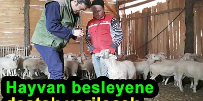 Buzağı ve Kuzu Destekleme Başvuruları Başlıyor