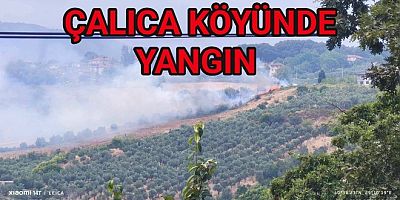 ÇALICA KÖYÜNDEKİ YANGINDA EKİPLER SEFERBER OLDU