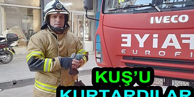 CAN ÇEKİŞEN KUŞU YALOVA  İTFAİYESİ KURTARDI