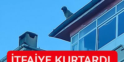 ÇATIDAKİ KÖPEĞİ İTFAİYE KURTARDI