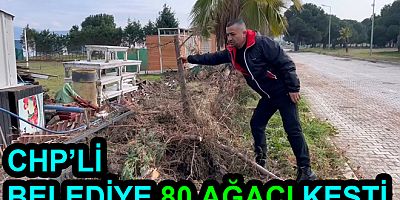 CHP’Lİ ALTINOVA BELEDİYESİ AĞAÇLARIMI KESTİ