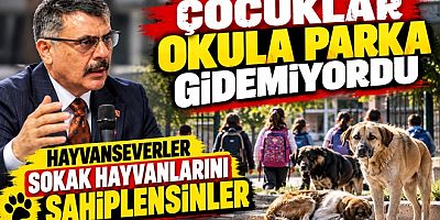 ÇİFTÇİ’DEN HAYVANSEVERLERE ÇAĞRI  “BARINAKLARDAN SAHİPLENİN”
