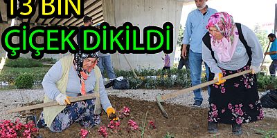 ÇİFTLİKKÖY 13 BİN MEVSİM ÇİÇEĞİ İLE RENKLENİYOR