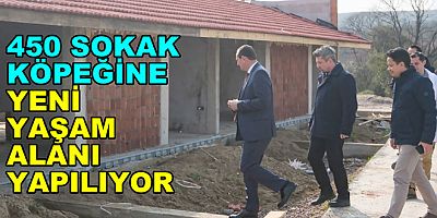 ÇİFTLİKKÖY’DE 450 SOKAK KÖPEĞİNE YENİ YAŞAM ALANI YAPILIYOR