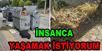 ÇİFTLİKKÖY’DE PİRELER BÖCEKLERLE YAŞAMAK İSTEMİYORUM