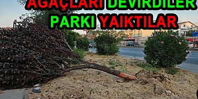 ÇİFTLİKKÖY'DEKİ PARKLARA AĞAÇLARA ZARAR VERDİLER