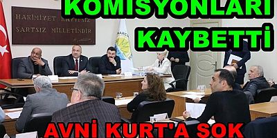 ÇINARCIK MECLİSİNDE YENİ PARTİLİ AVNİ KURT ŞOK YAŞADI