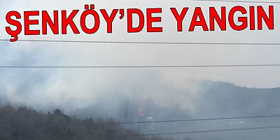 ÇINARCIK’TA ORMANDA YANGIN SÖNDÜRÜLDÜ