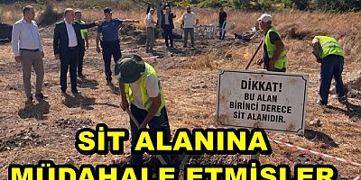 ÇINARCIK’TA SİT ALANINA İZİNSİZ MÜDAHALE ETTİLER