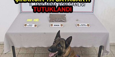 ÇINARCIK'TA UYUŞTURUCU SATMAK İSTEDİ TUTUKLANDI