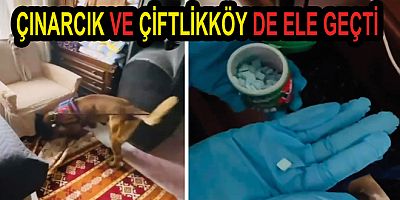 #yalova #polis #operasyon #jandarma #asayiș #kom #tem #Narkotik #siber #cezaevi #Çınarcık #çiftlikköy