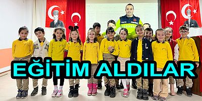 ÇOCUKLAR TRAFİK DEDEKTİFİ OLDU