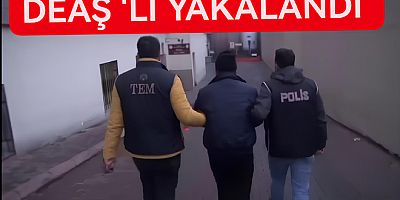 DEAŞ OPERASYONU YALOVA YA SIÇRADI
