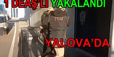 DEAŞ OPERASYONU YALOVA YA SIÇRADI 