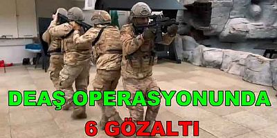 DEAŞ OPERASYONUNDA 1 TUTUKLAMA