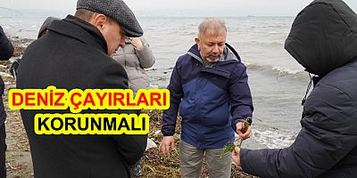 DENİZ ÇAYIRLARI MUTLAKA KORUNMALI